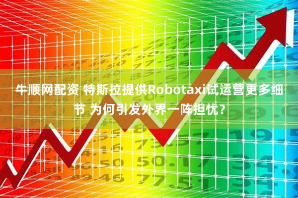 牛顺网配资 特斯拉提供Robotaxi试运营更多细节 为何引发外界一阵担忧？
